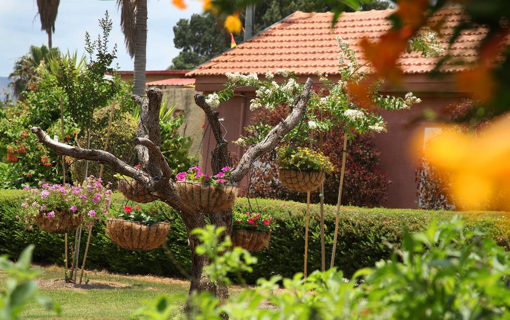 Shaar Hagolan Kibbutz Country Lodging Exterior photo