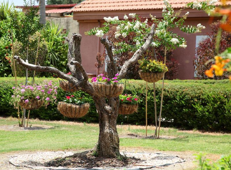Shaar Hagolan Kibbutz Country Lodging Exterior photo
